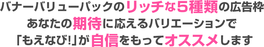 バナーバリューパックのリッチな5種類の広告枠
あなたの期待に応えるバリエーションで「もえなび!」が自信をもってオススメします