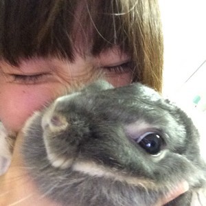 千夏