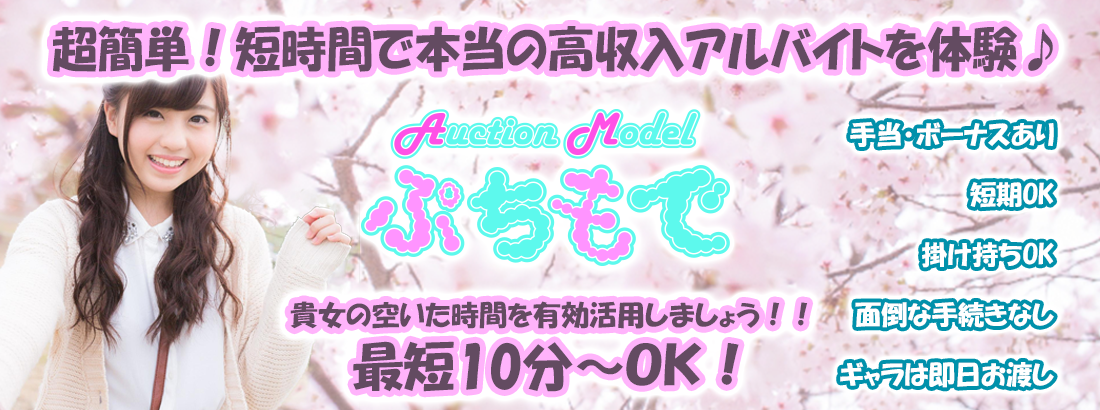 ぷちモデ