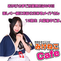 みけねこカフェ秋葉原店