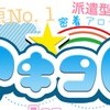 秋葉原☆派遣型リフレ☆コレクション