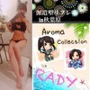 秋葉原☆派遣型リフレ☆コレクション