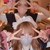 コスプレ①画像サムネイル