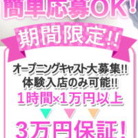 シロクマ店長