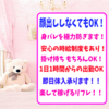 秋葉原 JKハンター