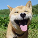 JKパンチ