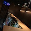 BAR Ms.～バーミス～