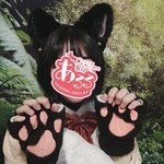 あるる〜Animal Girls〜 日本橋オタロード店:てんか