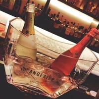 cafe & bar WANTED