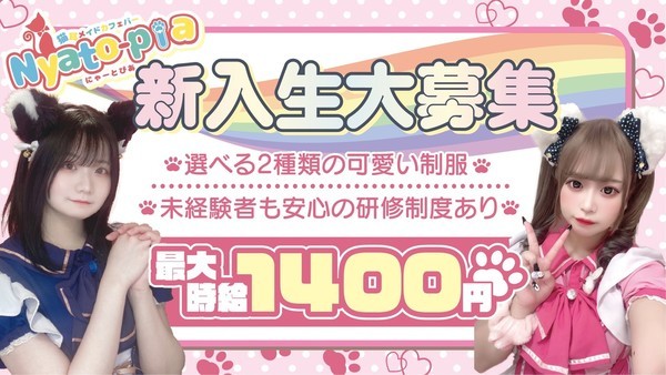 猫耳メイドカフェバーにゃーとぴあ札幌