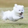 池袋きゅれもる