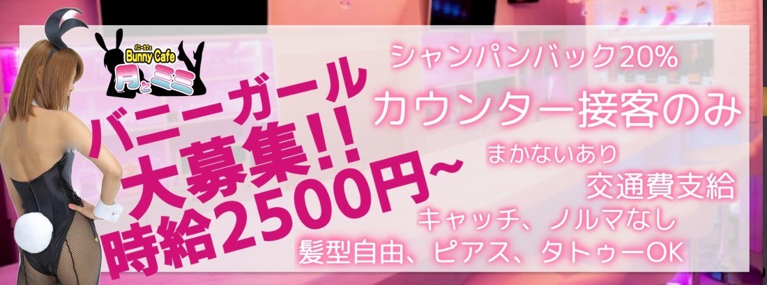 月とミミ