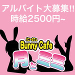 月とミミ