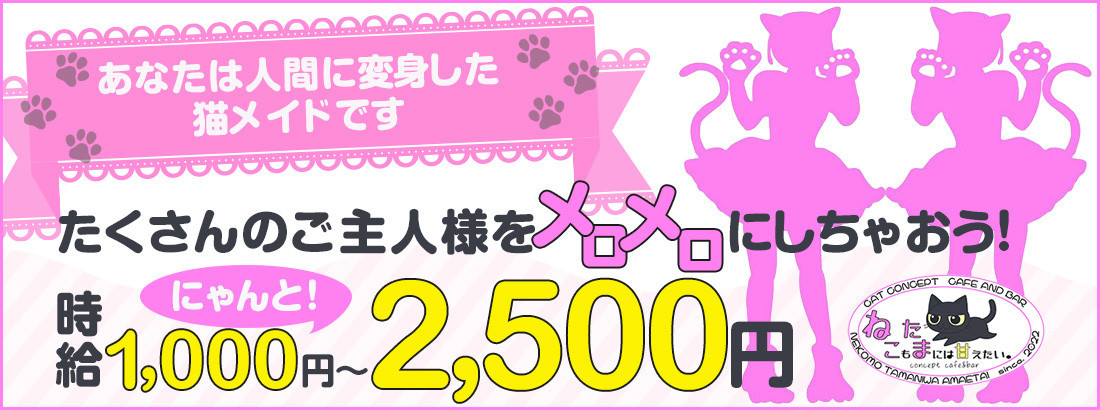 ねこもたまには甘えたい。