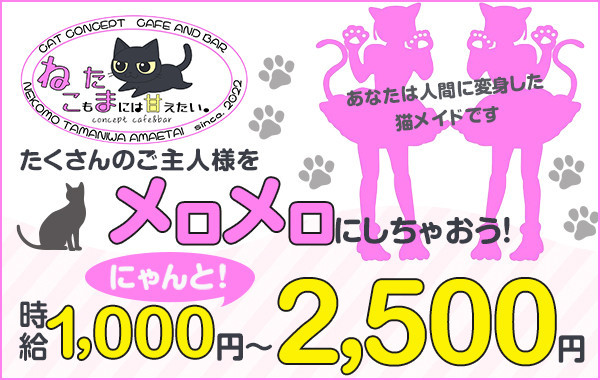 ねこもたまには甘えたい。