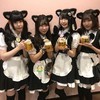 黒猫メイド魔法カフェ　ドン・キホーテ八丁堀店