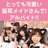 黒猫メイド魔法カフェ　MEGA ドン・キホーテ札幌狸小路店