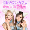 cafe&bar Trace
