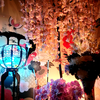 花宵-HANAYOI-