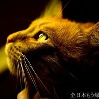 アズロ
