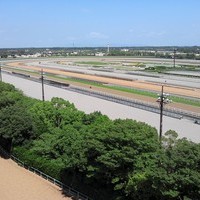 マッコフ７４式