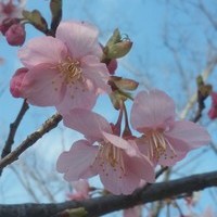 ふなはし