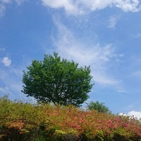 えりか