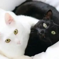 くろ