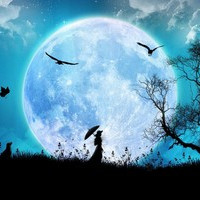 moonchild